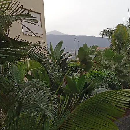 Apartment Dulce Paz Puerto de la Cruz (Tenerife)